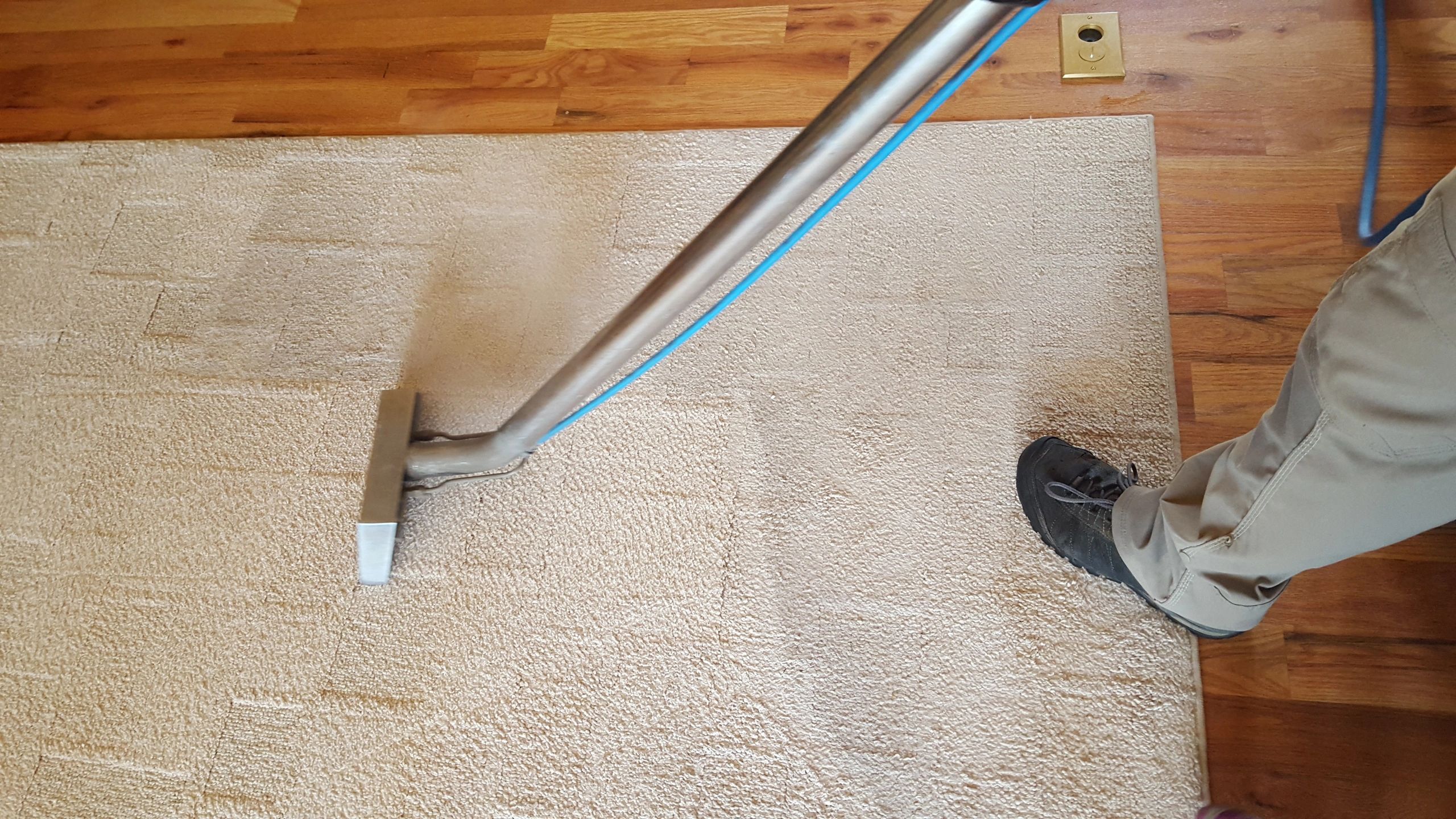 Carpet cleaning hose close up
