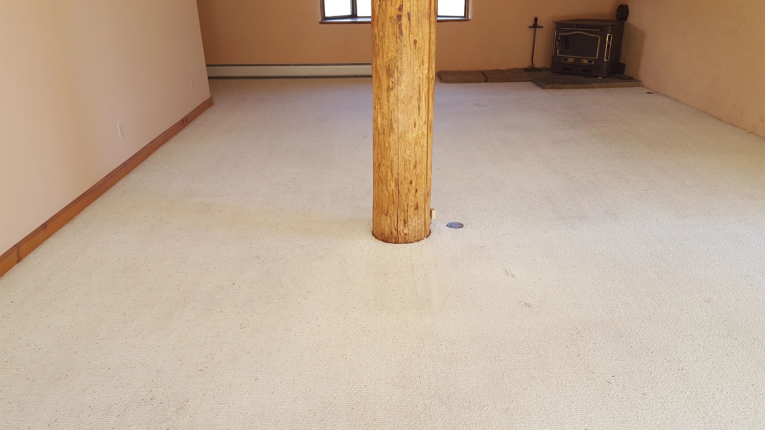 Freshly cleaned carpeted room