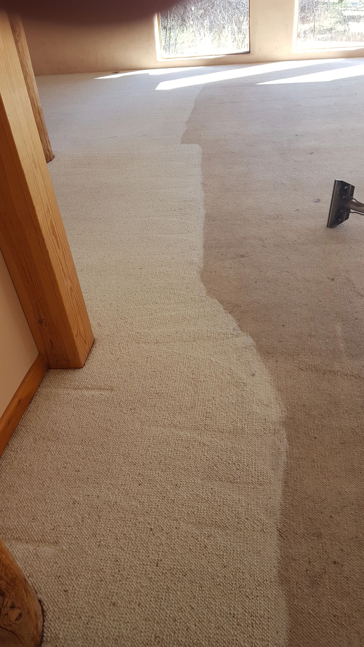 Carpet cleaning wand on beige carpet
